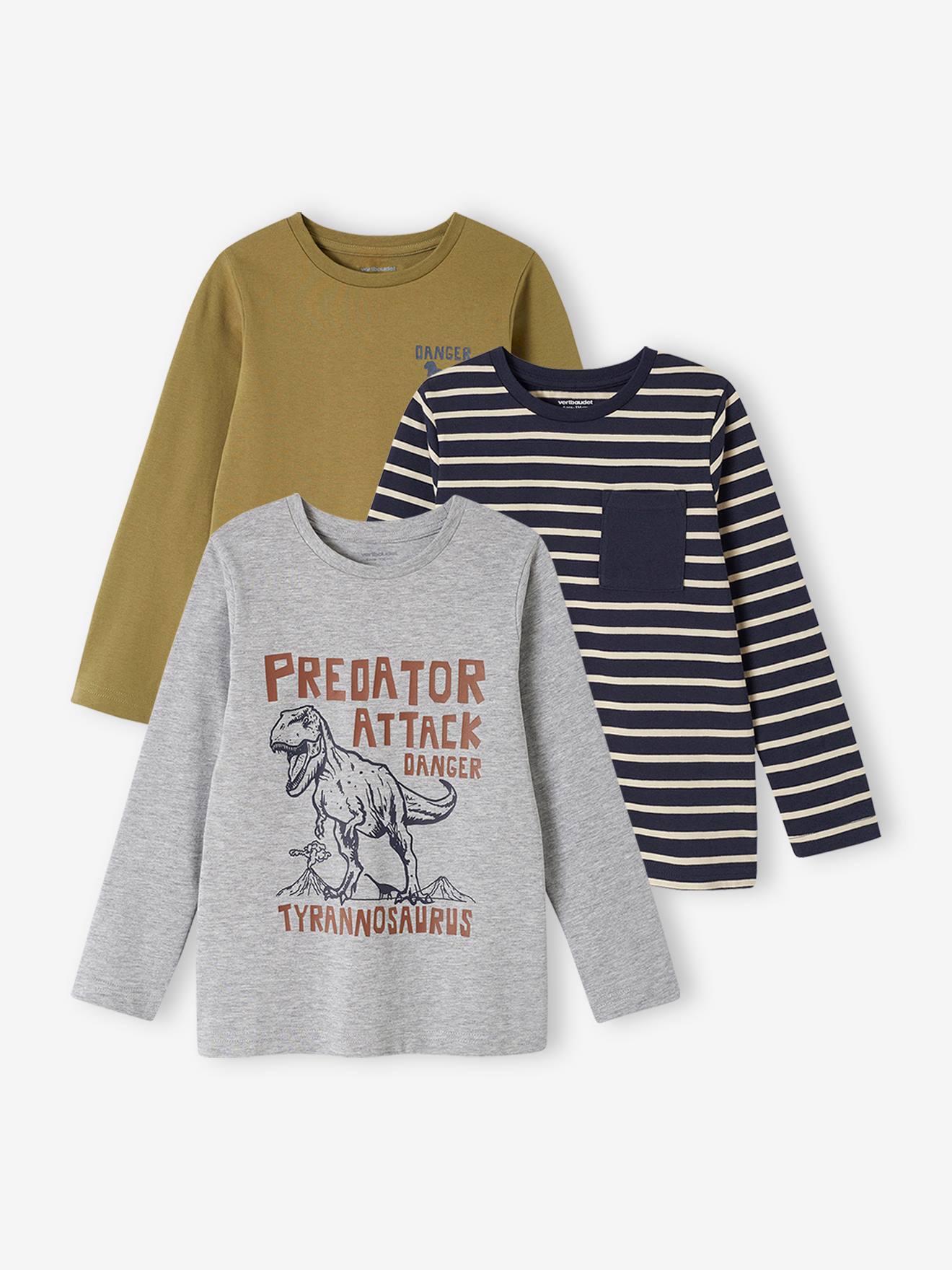 https://kids-avenue.com.ua/pages/gallery/6303/lot-de-3-t-shirts-basics-garcon-manches-longues (5).jpg